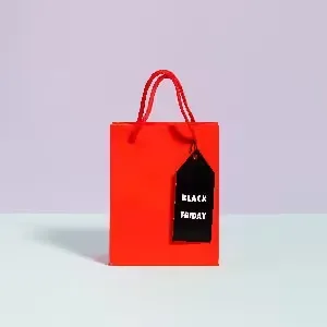 shopping bags-1-300×300